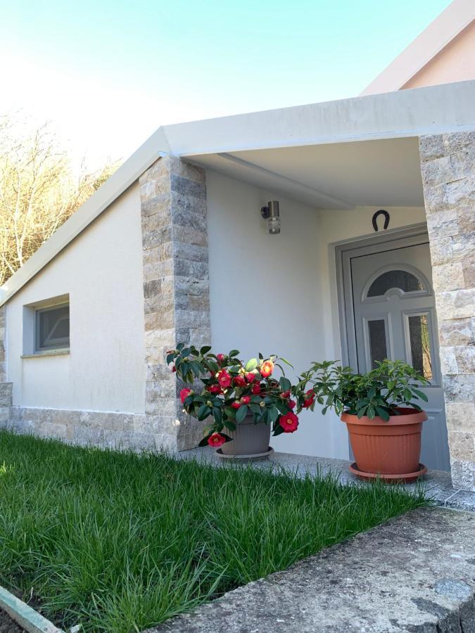 Markovic Village Apartments 乌尔齐尼 外观 照片